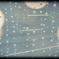 Trends und nachhaltige Mobilitat